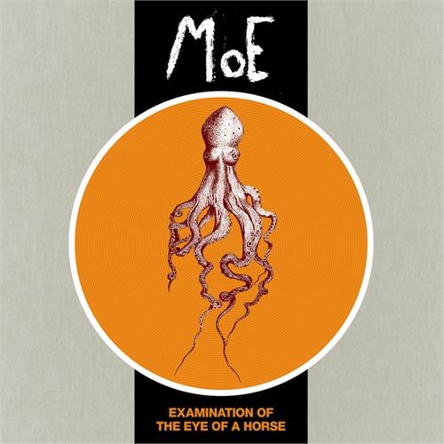 MoE Examination of the Eye of a... (LP)